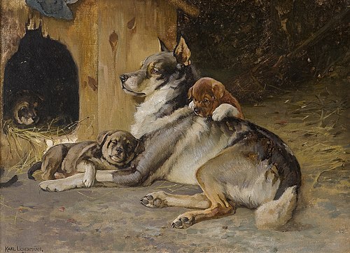 Elghund med valper, 1894, Karl Uchermann