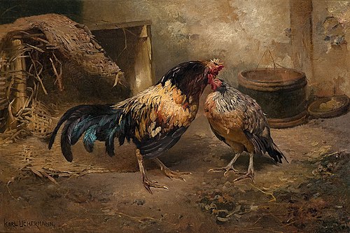 Høne og hane, 1897, Karl Uchermann