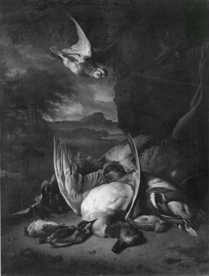 Stilife of many fold, dead birds, Landscape background, 1665, Jan Weenix