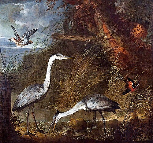 Wild Fowl, , Jan Weenix