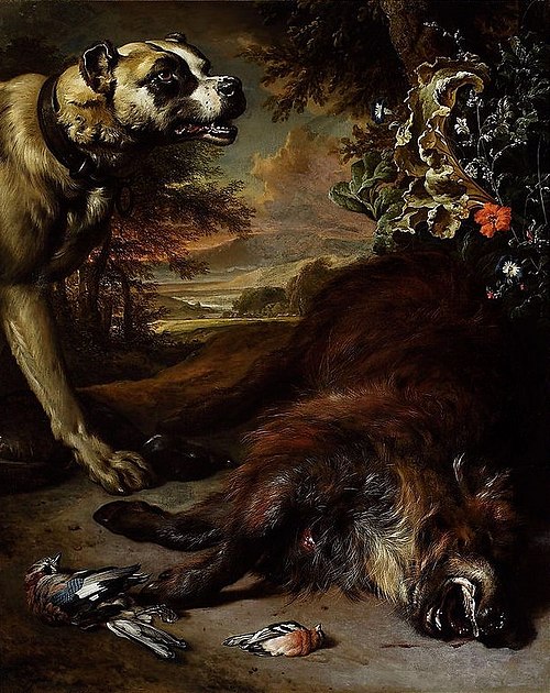 A dog over a dead boar., 1705, Jan Weenix
