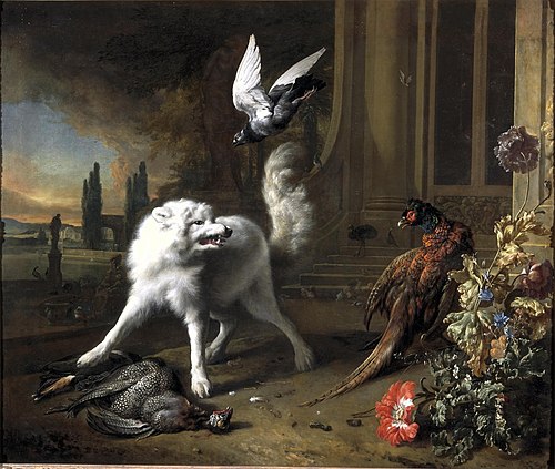 Een hond bewaakt een parelhoen, 1680, Jan Weenix