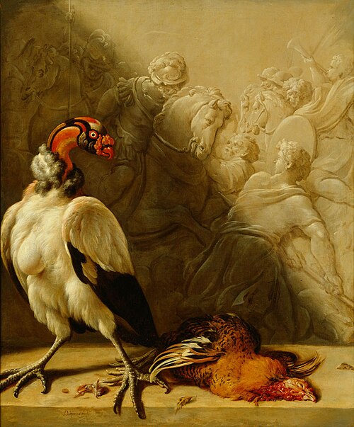 Südamerikanischer Königsgeier, 1700, Jan Weenix