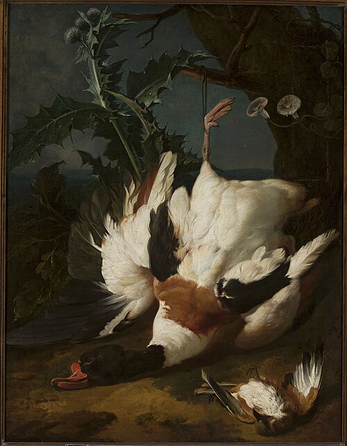 Dead drake, 1700, Jan Weenix