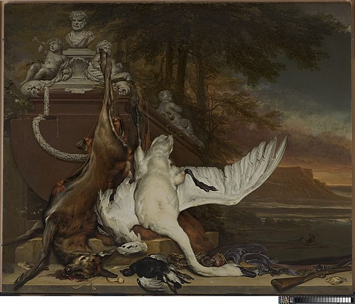 Dode zwaan, , Jan Weenix