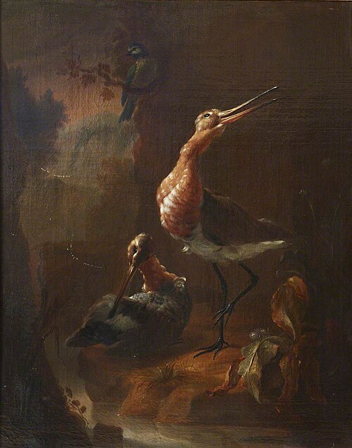 Two Godwits by a Stream, with a Blue Tit on a Branch above, 1690, Jan Weenix