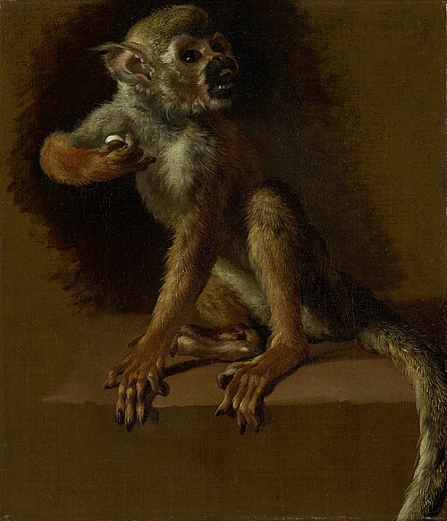 A Seated Monkey, 1680, Jan Weenix