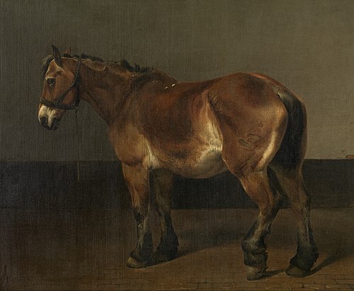 Trekpaard, 1844, Charles Philogène Tschaggeny