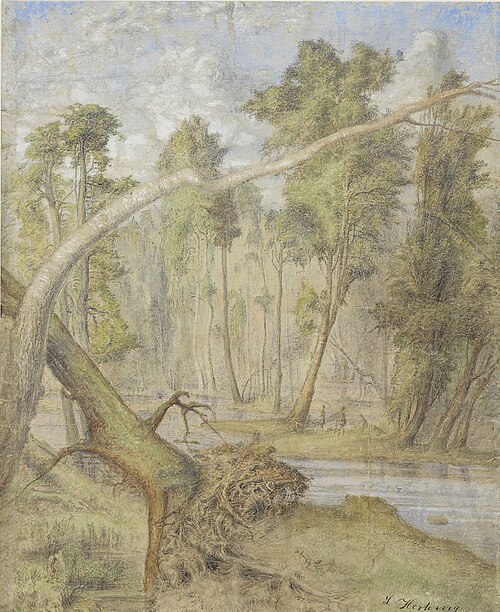 Primeval Forest, 1870, Lars Hertervig