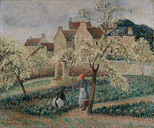 Pruniers en fleurs, Pontoise, 1889, Camille Pissarro