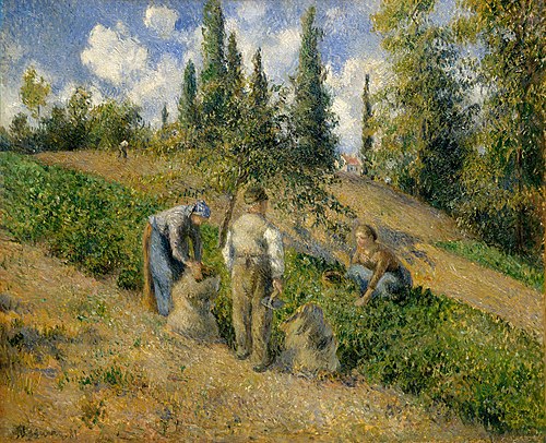 Le Récolte, Pontoise, 1881, Camille Pissarro