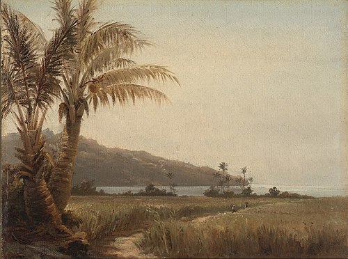 Cocotiers au bord de la mer, 1856, Camille Pissarro