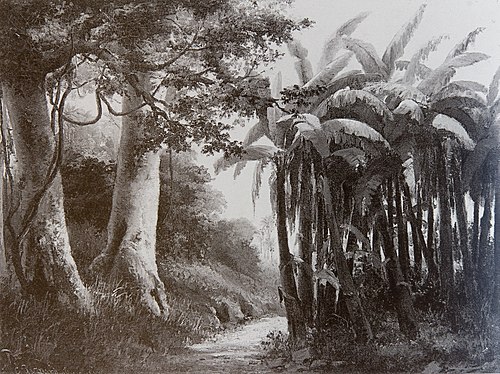 Forêt tropicale, 1856, Camille Pissarro