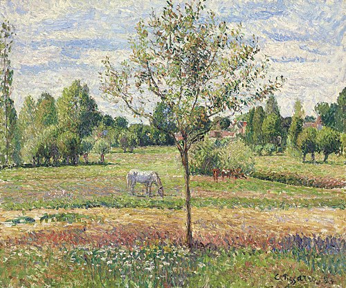 The Meadow with the Grey Horse, Éragny, 1893, Camille Pissarro