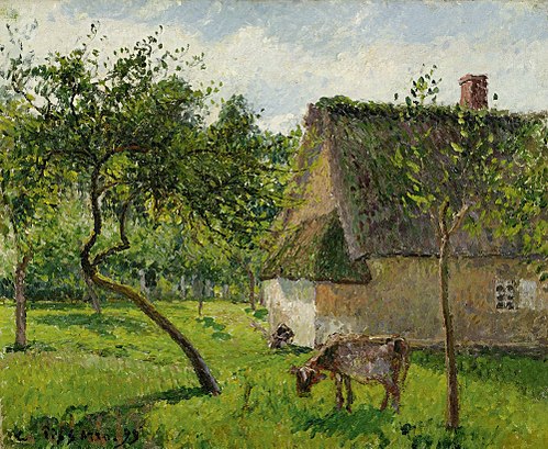 Verger à Varengeville avec vache (Un clos à Varengeville), 1899, Camille Pissarro