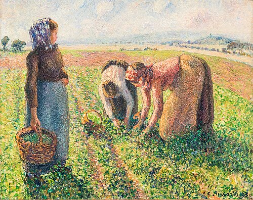 La cueillette des pois, Éragny, 1893, Camille Pissarro