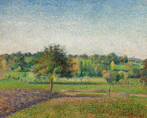 Prairie à Éragny, 1886, Camille Pissarro