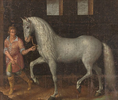 Spanish Warhorse, 1603, Jacob de Gheyn II