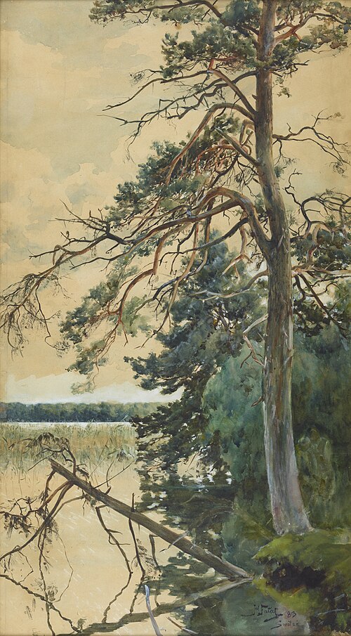 Świteź, 1883, Julian Fałat