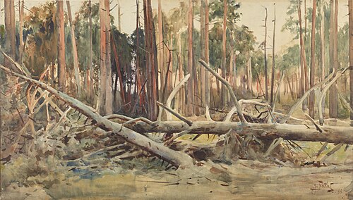 Pine forest, 1888, Julian Fałat