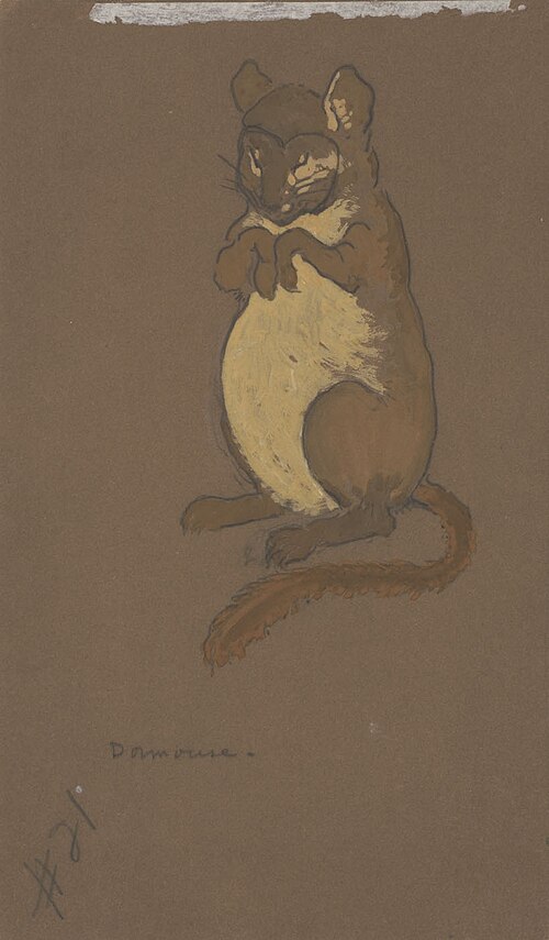 Dormouse (costume design for Alice-in-Wonderland, 1915), 1915, William Penhallow Henderson