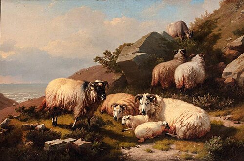 Scotch Sheep, 1868, Eugène Verboeckhoven
