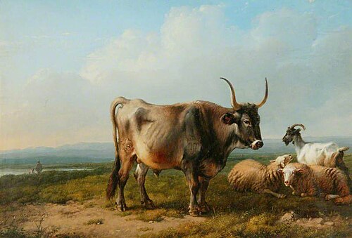 A Bull, Two Sheep and a Goat in Pasture, 1842, Eugène Verboeckhoven