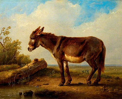 Landscape with a Donkey, 1846, Eugène Verboeckhoven