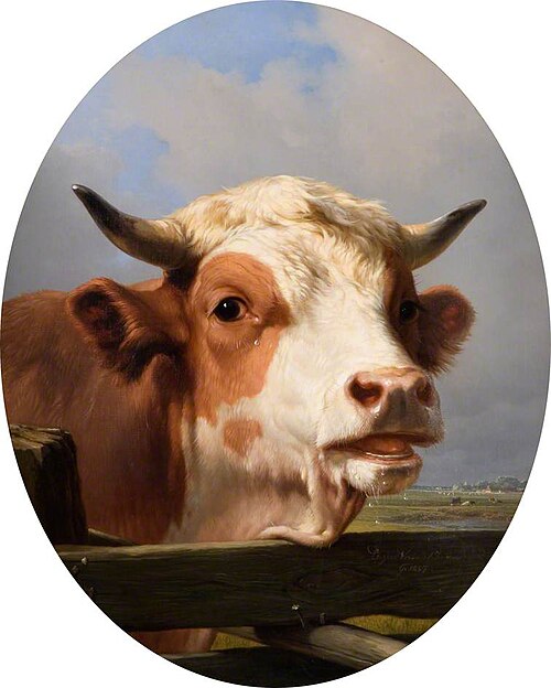 Bull's Head, 1857, Eugène Verboeckhoven