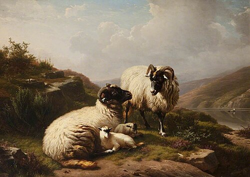 Sheep, 1859, Eugène Verboeckhoven