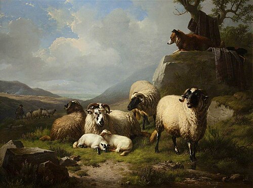 Group of Sheep, 1863, Eugène Verboeckhoven