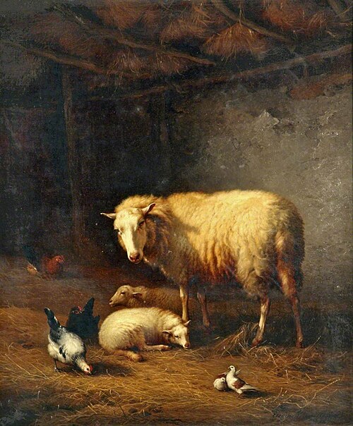 Sheep, 1874, Eugène Verboeckhoven
