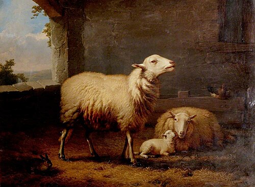 Sheep, 1876, Eugène Verboeckhoven