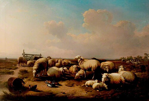 The Sheep, , Eugène Verboeckhoven