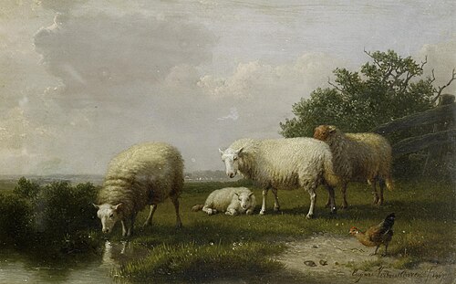 Sheep grazing on a riverbank, , Eugène Verboeckhoven