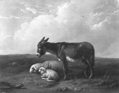 Ezel en schapen, 1845, Eugène Verboeckhoven