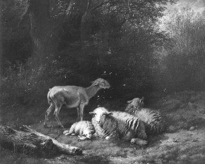 Schapen in een bos, 1840, Eugène Verboeckhoven