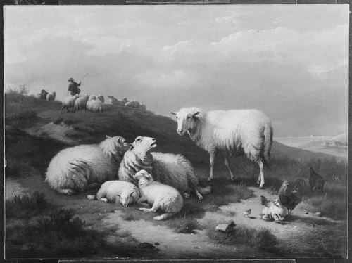 Dune Landscape with Resting Sheep, 1871, Eugène Verboeckhoven