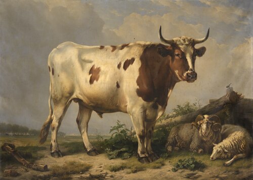 Bull, 1847, Eugène Verboeckhoven