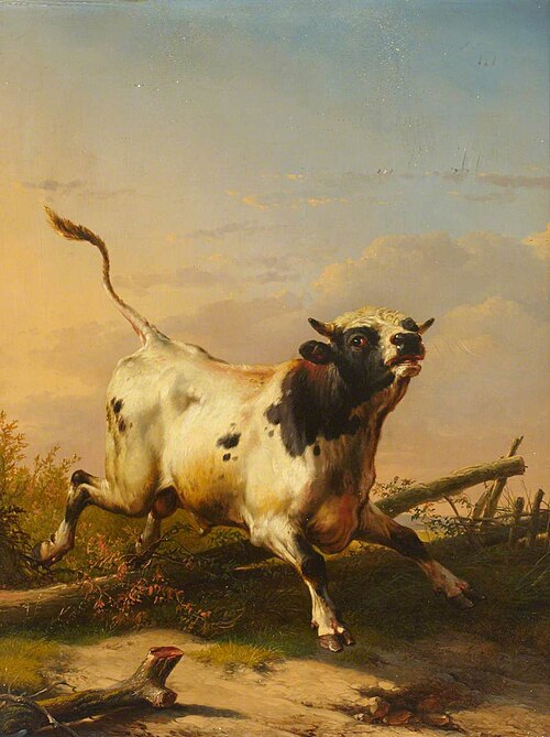 A Bull leaping a Fence, 1849, Eugène Verboeckhoven