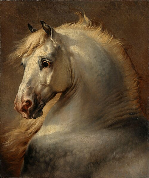 Head of a Horse, , Eugène Verboeckhoven