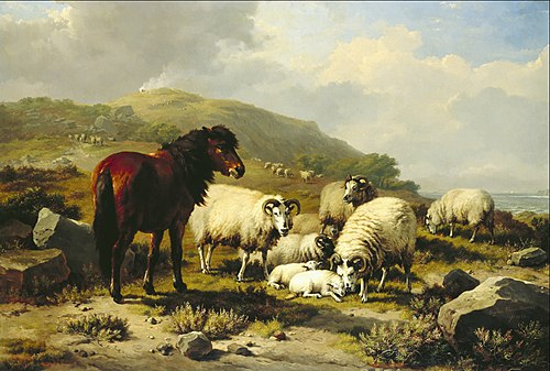 Landscape with Sheep, , Eugène Verboeckhoven