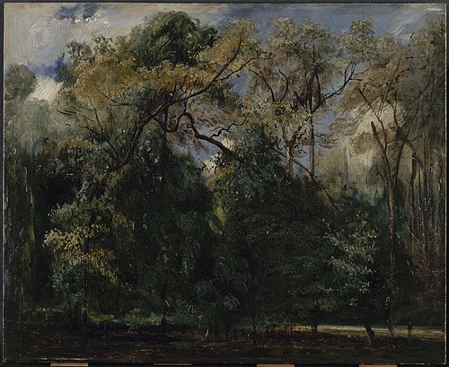 Les ormes de Saint-Cloud, 1823, Paul Huet