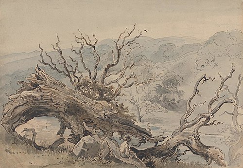 A Fallen Oak, 1815, William Henry Hunt
