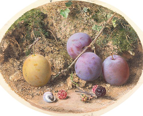Plums and Mulberries, 1860, William Henry Hunt