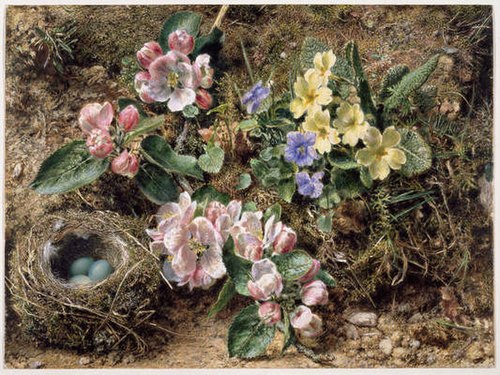 Birds Nest,  Apple Blossom and Primroses, 1847, William Henry Hunt