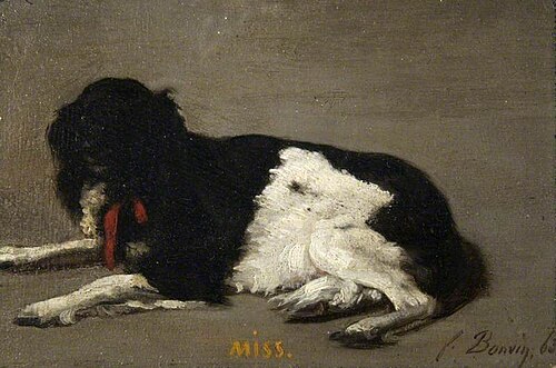 'Miss', 1863, François Bonvin
