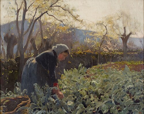 Pagesa arrencant cols, 1897, Joaquim Mir
