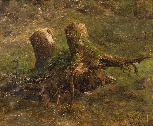 A Study of Tree Stumps, 1866, Ernst Gustav Doerell