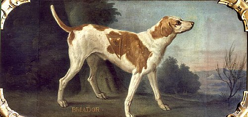 Briador, 1721, Alexandre-François Desportes
